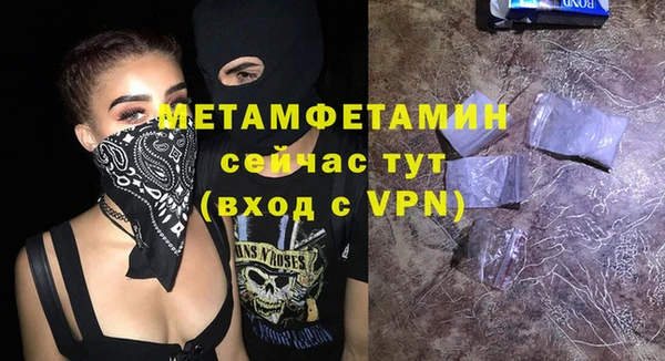 прущие грибы Заводоуковск