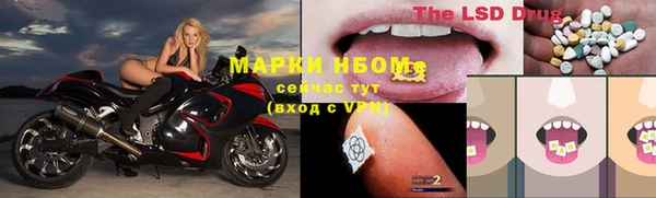 прущие грибы Заводоуковск