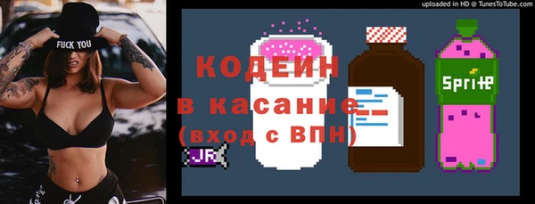 прущие грибы Заводоуковск