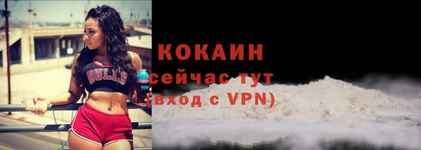 прущие грибы Заводоуковск