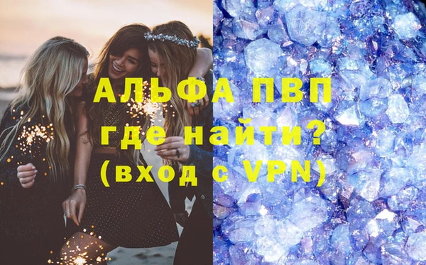 прущие грибы Заводоуковск