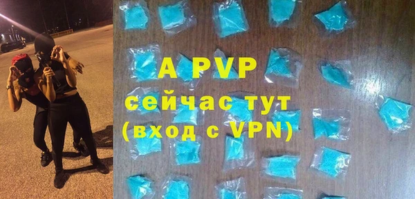 прущие грибы Заводоуковск
