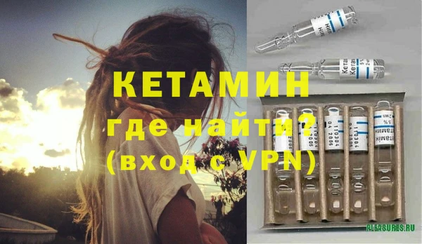 прущие грибы Заводоуковск