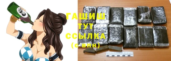 прущие грибы Заводоуковск