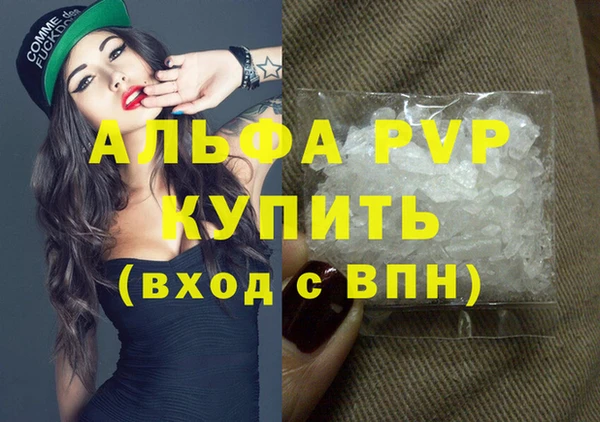 прущие грибы Заводоуковск