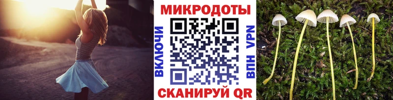 Купить где  Новый Уренгой  Псилоцибиновые грибы Magic Shrooms 